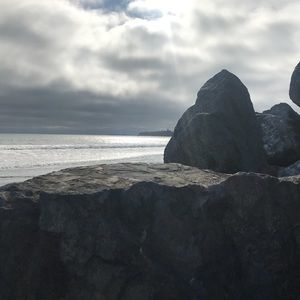 Meet your Posher, Gavin